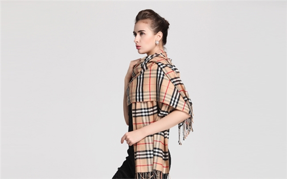 龍翔毛毯是什么 羊毛毯圖